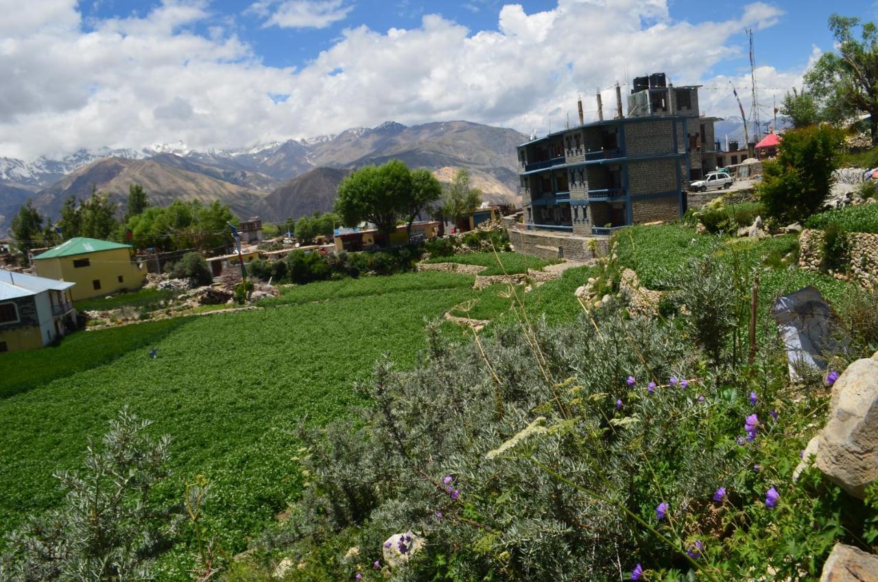 Reo Purguil Otel Nako Dış mekan fotoğraf